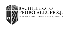 logo-pedro-arrupe-grupo-redex